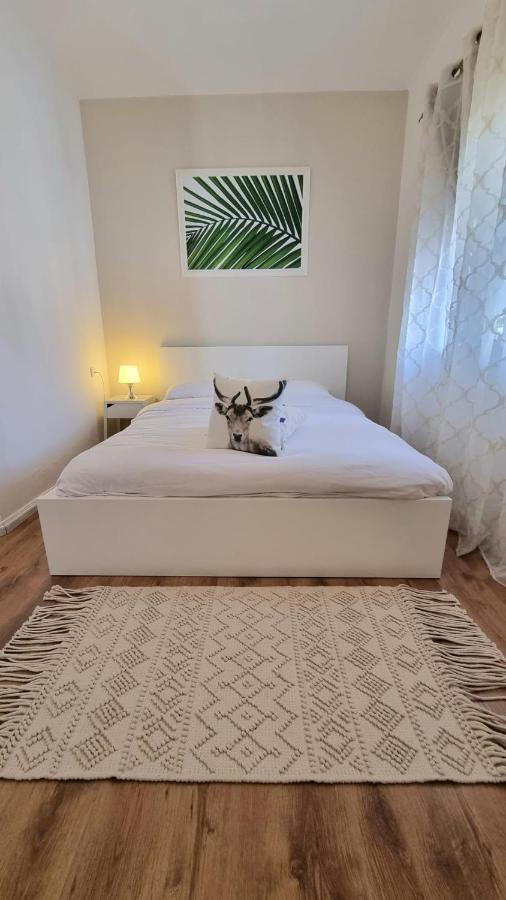 Villa Gal Eilat Eksteriør bilde